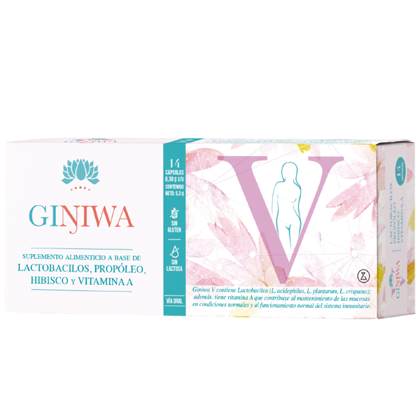 Giniwa V